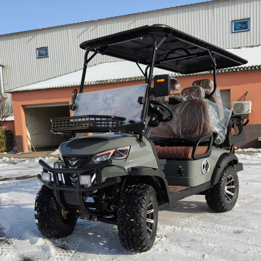 High Quality 4000W 48V Long Range Electric Golf Cart 14 Inch Tire Family 4 Wheel Electric Buggy Golf Cart