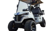 High Quality 4000W 48V Long Range Electric Golf Cart 14 Inch Tire Family 4 Wheel Electric Buggy Golf Cart