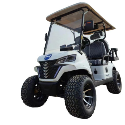 High Quality 4000W 48V Long Range Electric Golf Cart 14 Inch Tire Family 4 Wheel Electric Buggy Golf Cart