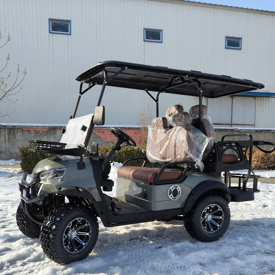 High Quality 4000W 48V Long Range Electric Golf Cart 14 Inch Tire Family 4 Wheel Electric Buggy Golf Cart