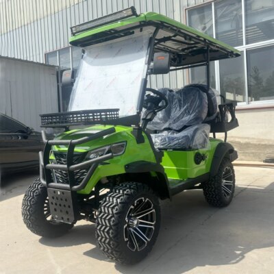 High Quality 4000W 48V Long Range Electric Golf Cart 14 Inch Tire Family 4 Wheel Electric Buggy Golf Cart - Image 4
