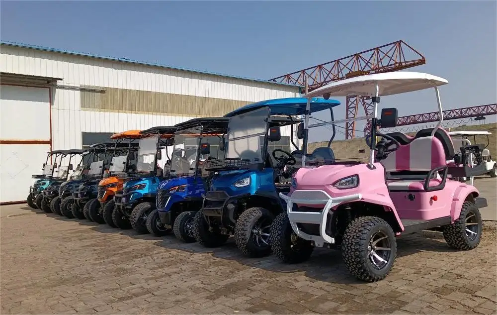 High Quality 4000W 48V Long Range Electric Golf Cart 14 Inch Tire Family 4 Wheel Electric Buggy Golf Cart