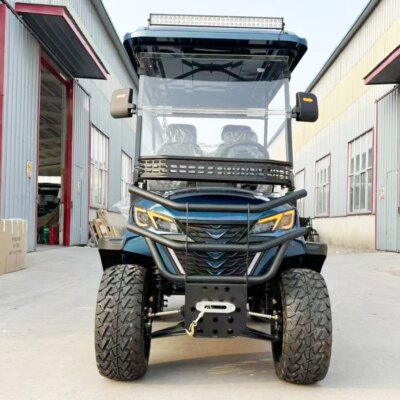 High Quality 4000W 48V Long Range Electric Golf Cart 14 Inch Tire Family 4 Wheel Electric Buggy Golf Cart - Image 6