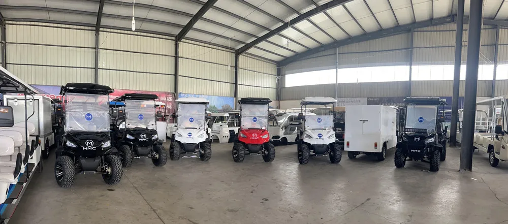High Quality 4000W 48V Long Range Electric Golf Cart 14 Inch Tire Family 4 Wheel Electric Buggy Golf Cart