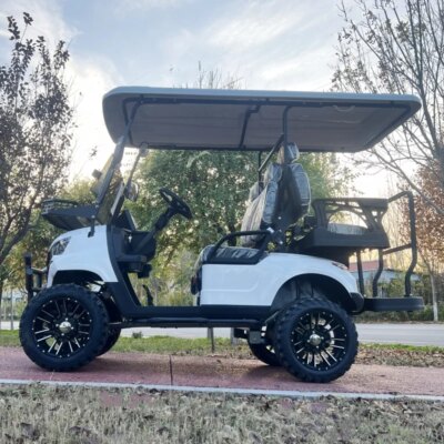 2025 Club Golf Carts 2/4/6/8 seater Street Legal Golf Cart 72V Lithium Custom Comfortable 4 Seats Electric Car Vehicle - Image 5