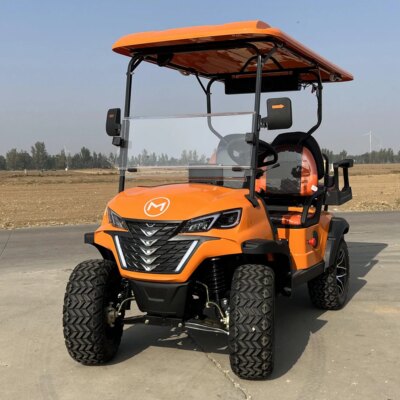 Electric Golf Cart 4 seats 4000W 5000W Scooter tourism classic gasoline cart Go Kart adult golf buggy - Image 2