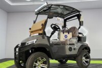 Chinese Suppliers Golf Buggy Cart Price Luxury Vehicle Street Legal Adult 2 +2Seater 72V Electric Golf Cart