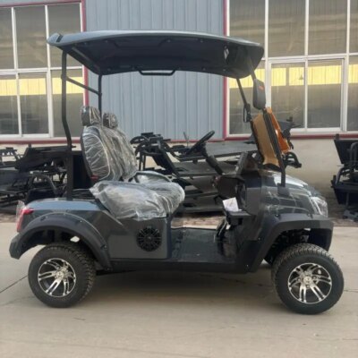 Electric Buggy Car Hunting Utility Trolley Factory Supply High Quality 4 Seater Electric Street Legal Club Golf Carts - Image 3