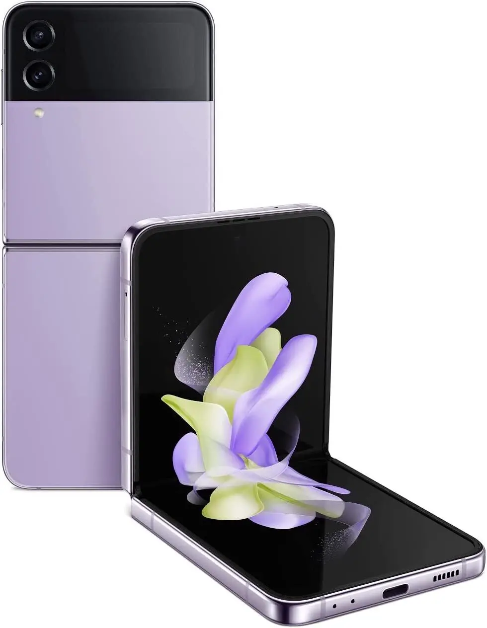 Bora Purple