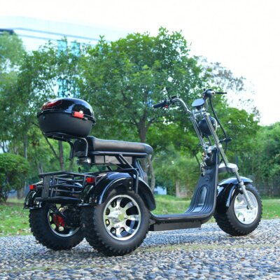 Adults 3 Wheel Electric Scooter 3000W Motor Max Speed 40KM/H Max Load 200KG 18 Inch Off Road Fat Tire Electric Motorcycle - Image 5