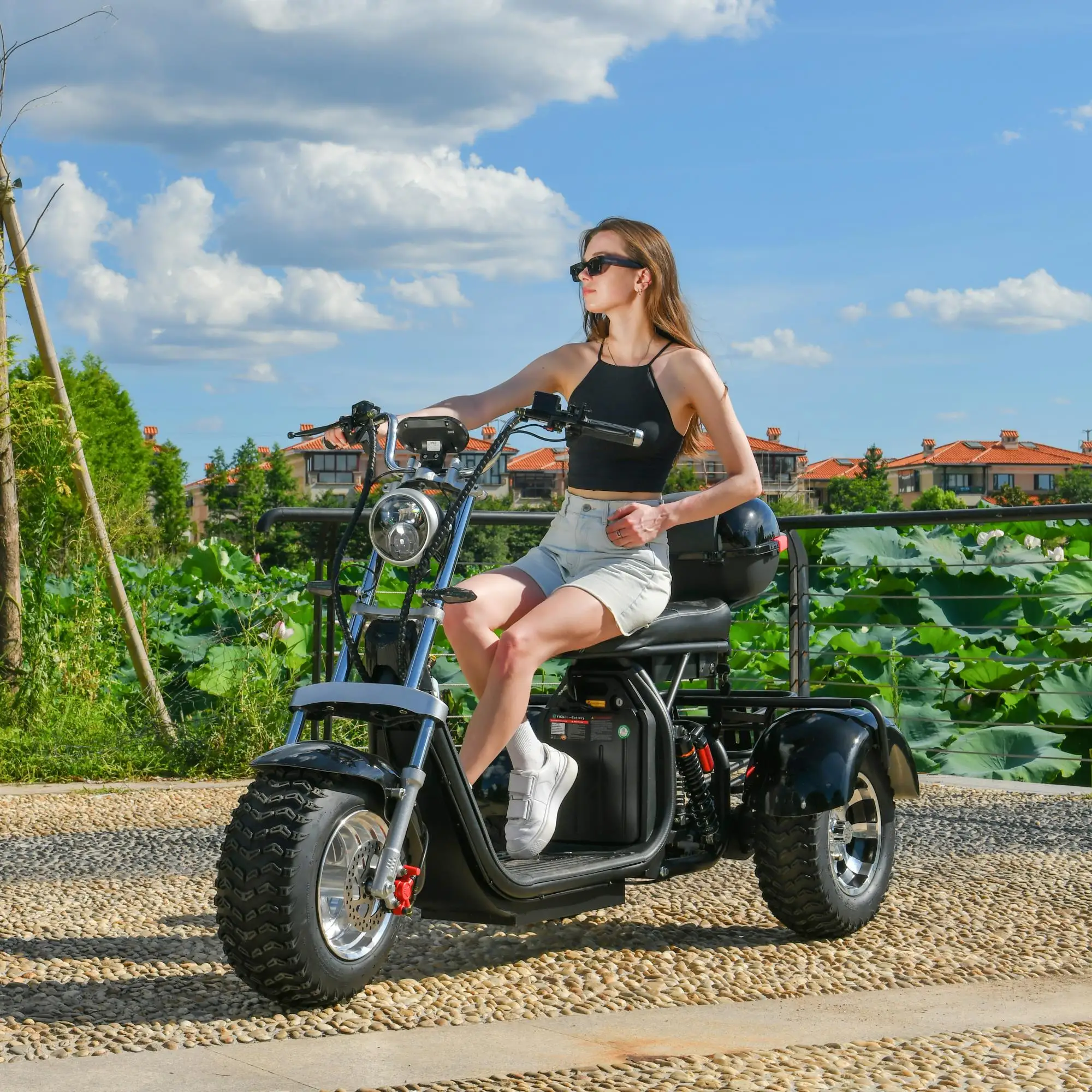 Adults 3 Wheel Electric Scooter 3000W Motor Max Speed 40KM/H Max Load 200KG 18 Inch Off Road Fat Tire Electric Motorcycle