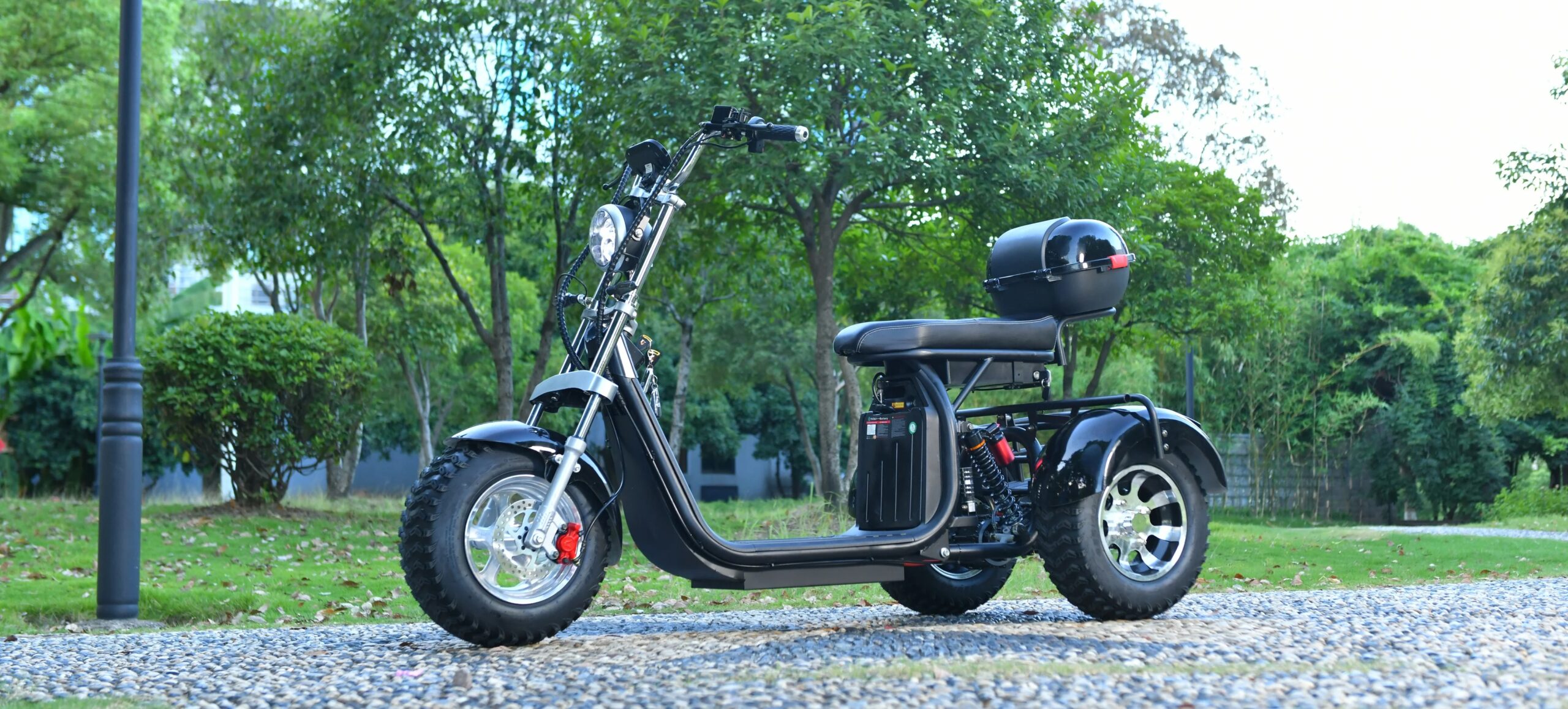 Adults 3 Wheel Electric Scooter 3000W Motor Max Speed 40KM/H Max Load 200KG 18 Inch Off Road Fat Tire Electric Motorcycle