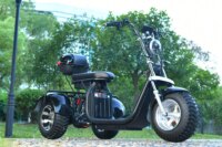 Adults 3 Wheel Electric Scooter 3000W Motor Max Speed 40KM/H Max Load 200KG 18 Inch Off Road Fat Tire Electric Motorcycle