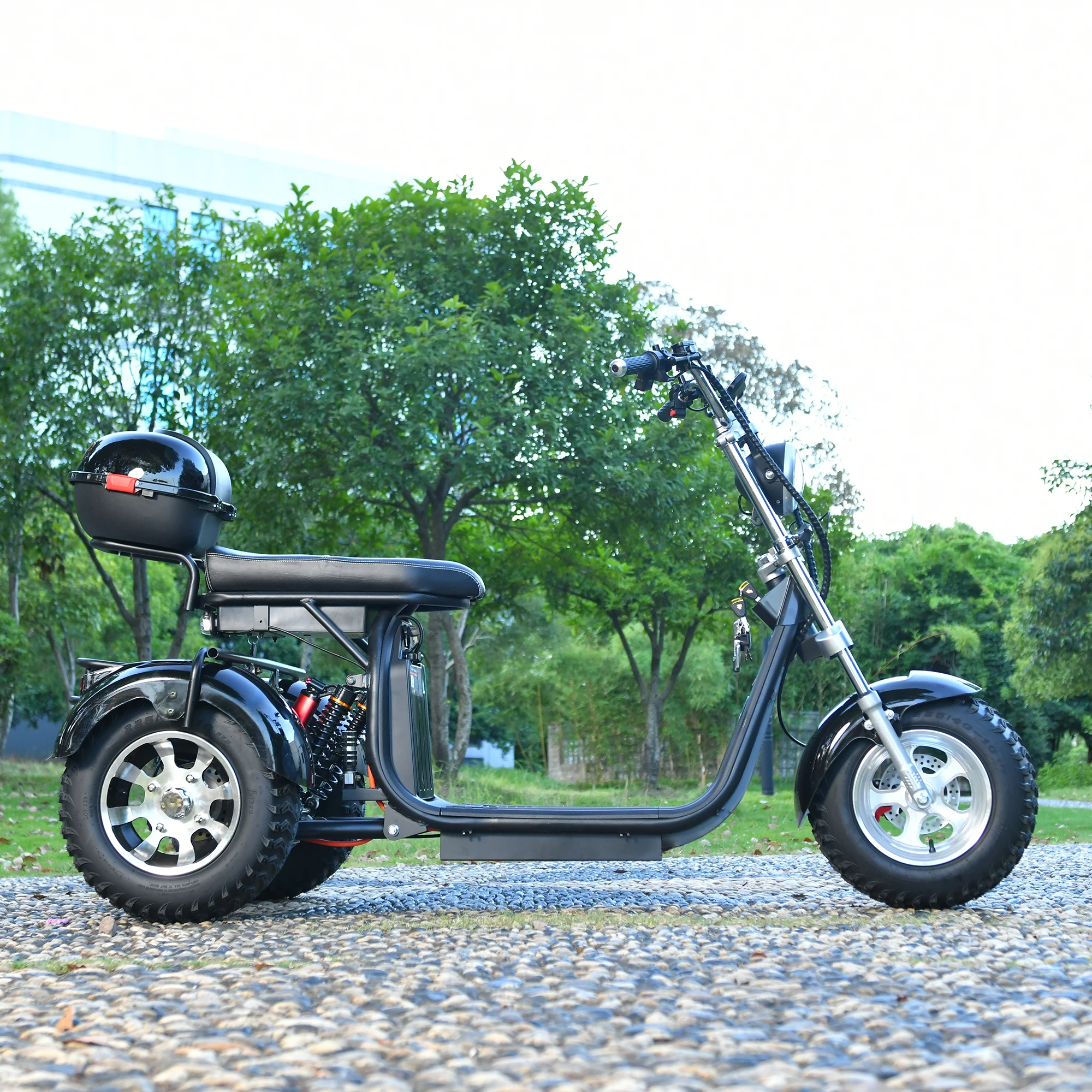 Adults 3 Wheel Electric Scooter 3000W Motor Max Speed 40KM/H Max Load 200KG 18 Inch Off Road Fat Tire Electric Motorcycle