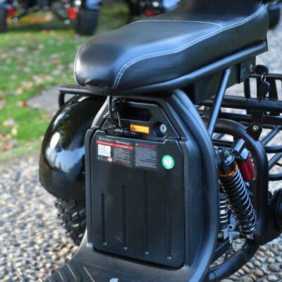 Adults 3 Wheel Electric Scooter 3000W Motor Max Speed 40KM/H Max Load 200KG 18 Inch Off Road Fat Tire Electric Motorcycle - Image 3