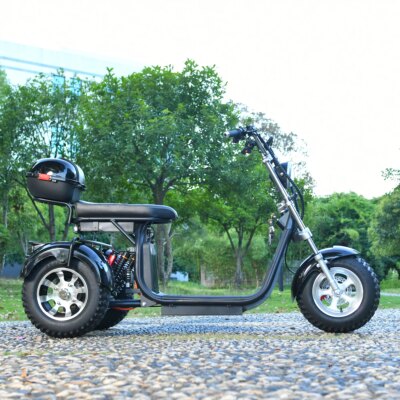 Adults 3 Wheel Electric Scooter 3000W Motor Max Speed 40KM/H Max Load 200KG 18 Inch Off Road Fat Tire Electric Motorcycle - Image 4