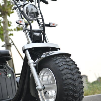 Adult Electric 3 Wheel Scooter 2000W Motor Max Speed 35-45KM/H Max Load 250KG 18 Inch Off road Fat Tire Electric Scooter - Image 3