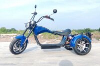 Citycoco  Electric  Scooter For Adults  Max Load 250KG 18Inch Fat Tire  1500W Motor 3 Wheel Off Road  Electric Motorcycle