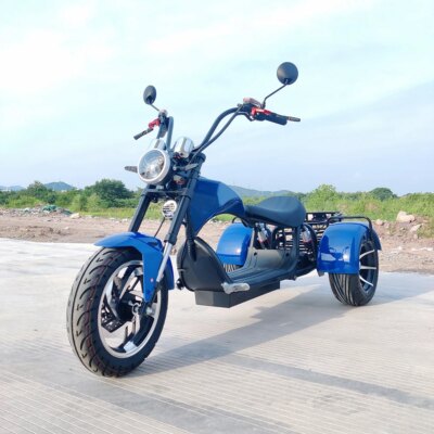 Citycoco  Electric  Scooter For Adults  Max Load 250KG 18Inch Fat Tire  1500W Motor 3 Wheel Off Road  Electric Motorcycle - Image 2