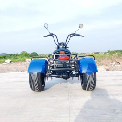 Citycoco  Electric  Scooter For Adults  Max Load 250KG 18Inch Fat Tire  1500W Motor 3 Wheel Off Road  Electric Motorcycle - Image 6