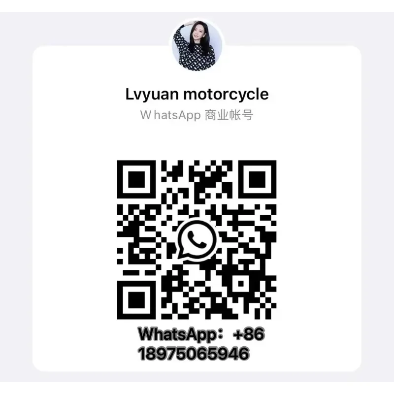 XiliThe Latest New Energy Lithium Battery High Speed 80km/h 2000W Power Motor Electric Moped Electric Motorcycle For Adult