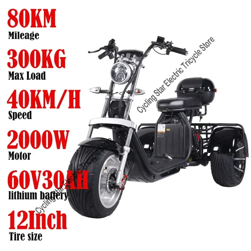 2000W60V30AH-12Inch