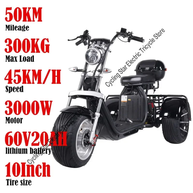 3000W60V20AH-10Inch