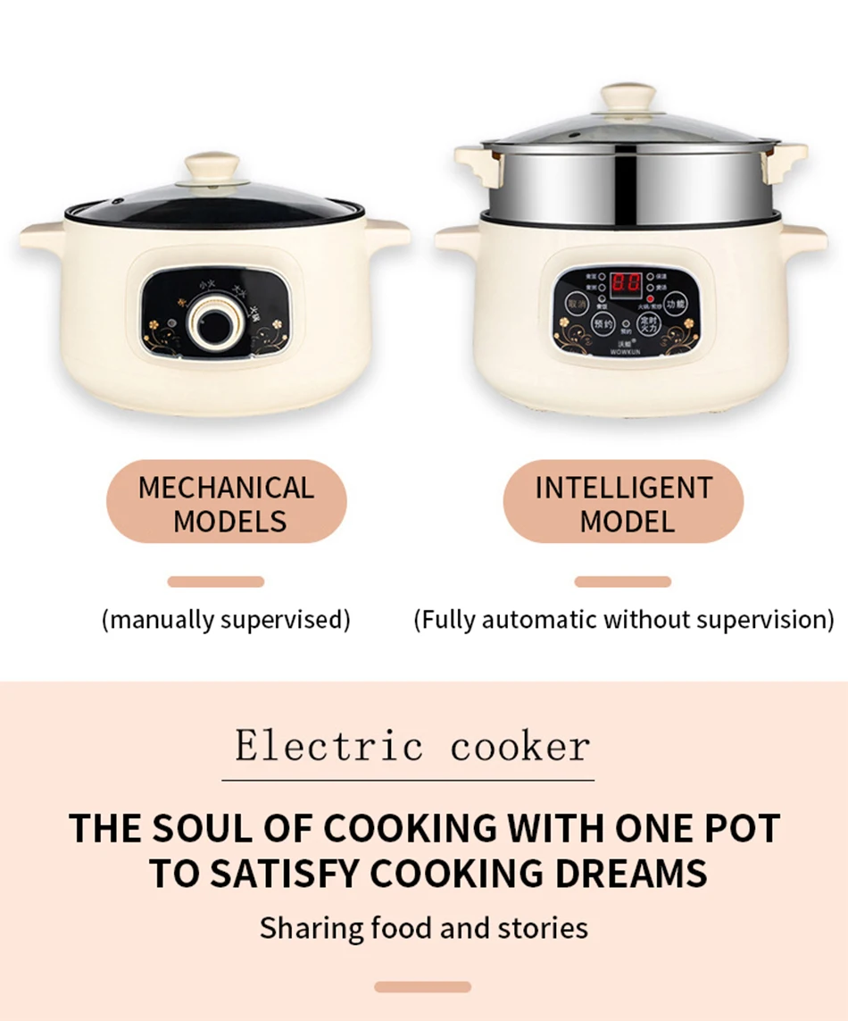 110v intelligent electric Cooking pot Travel electric frying pan Multifunctional electric hot pot portable rice cooker