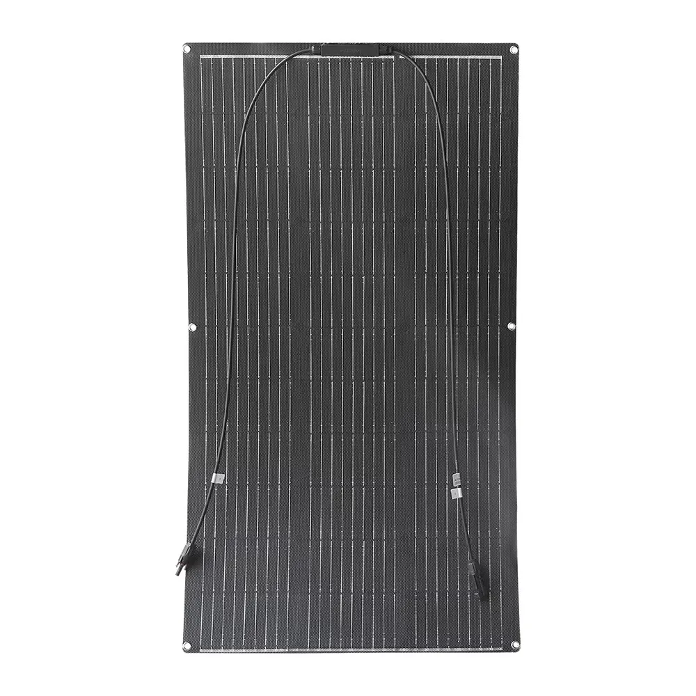 ETFE 100W panel