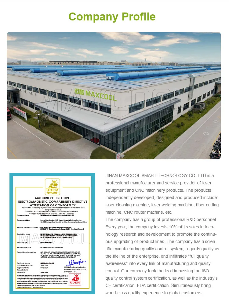 Professional Metal Cutting Machine 1500W 2000W 3000W 6000W 12000w Option Fiber Laser Cutting Machine for Sheet Metal