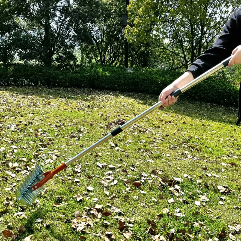 Stainless Steel Lawn Thatch Rake Detachable Cleaning Yard Dry Grass Thatch Rake Leaf Soil Durable Weeders Garden Hand Tools Stainless Steel Lawn Thatch Rake Detachable Cleaning Yard Dry Grass Thatch Rake Leaf Soil Durable Weeders Garden Hand Tools