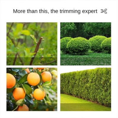 Deli prunes branches hedges lawns branches flowers plants gardens horticulture and double-edged scissors garden tools - Image 4