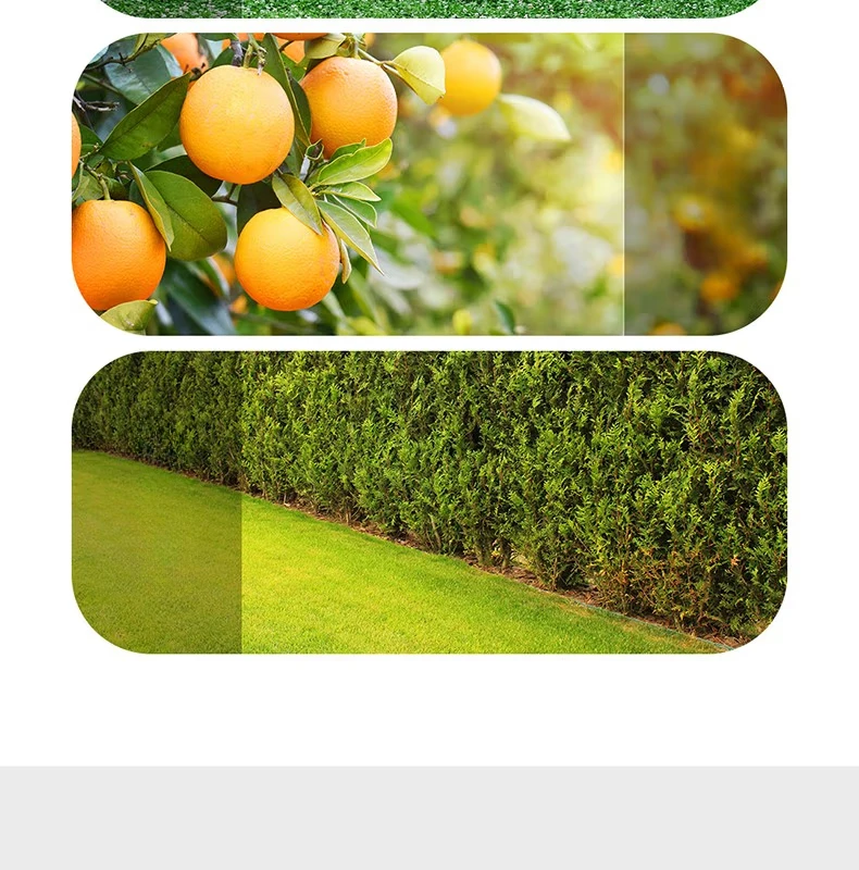 Deli prunes branches hedges lawns branches flowers plants gardens horticulture and double-edged scissors garden tools Deli prunes branches hedges lawns branches flowers plants gardens horticulture and double-edged scissors garden tools