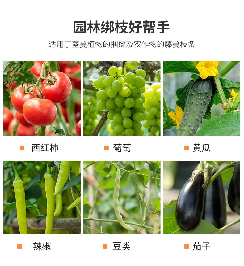 Tying Machine Plant Garden Plant Tapetool Tapener +10 Rolls Tape Set for Vegetable Grape Tomato Cucumber Pepper Flower