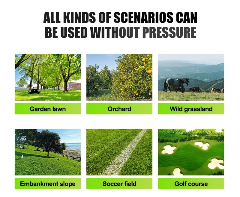 Customized Remote Control Cordless Lawn Mower Self-Propelled 4-Stroke Multifunction Lawn Tractor Robot for Home Garden