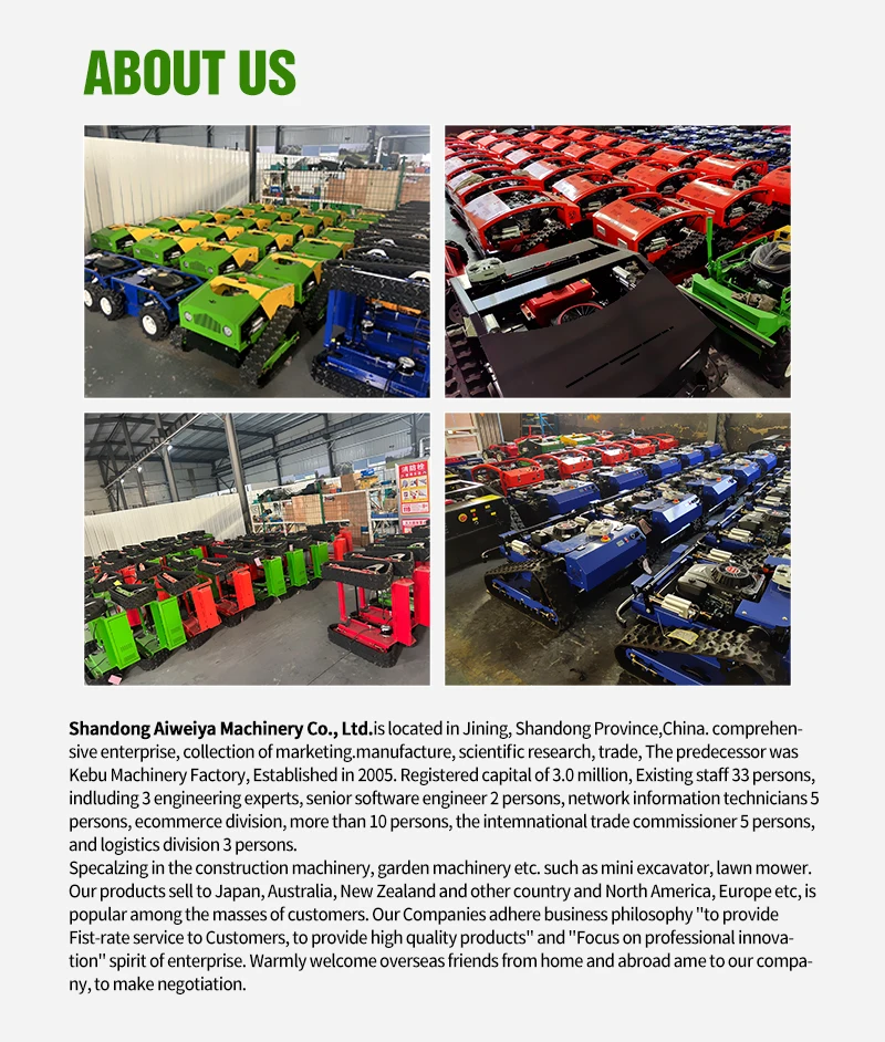 Customized AWY Robot Grass Cutter Cutting Width 800mm 1000mm 1200mm 650W Brushless Motor Remote Control Crawler Flail Mower
