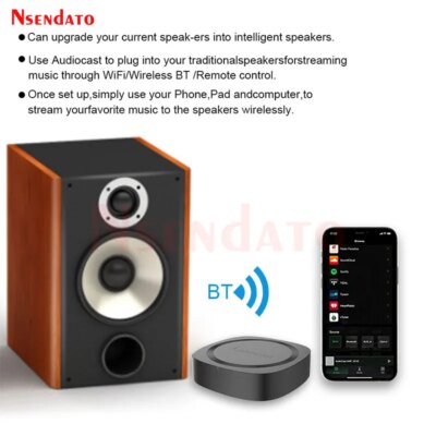 IEAST Audiocast Pro M20 Wireless WiFi Audio Music Receiver Multi Room Audio Wifi BT5.0 Music Player Box Hifi system For Tadil - Image 2