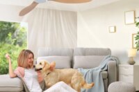 Modern Ceiling Fan with Remote Control Low Down Living Room Office DC Motor Fan 30W Simple Ceiling Fan Lightless Electric Fan