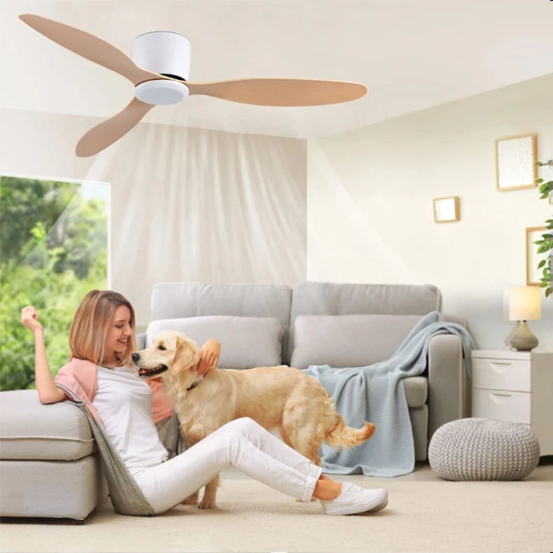 Modern Ceiling Fan with Remote Control Low Down Living Room Office DC Motor Fan 30W Simple Ceiling Fan Lightless Electric Fan