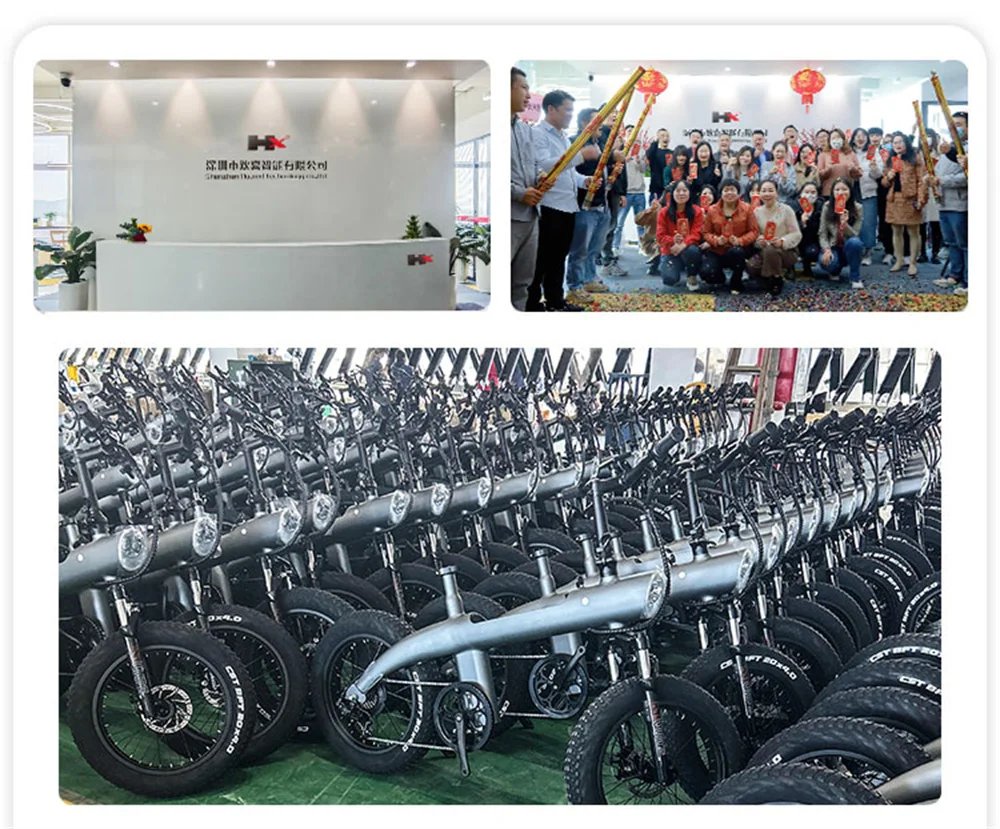 HX Q3 2000W Adult Electric Bicycle 48V 20AH E Bike Removable Battery Foldable Ebike 20 inch fat tire Electric Bike