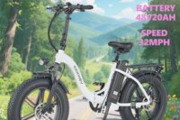 Kickwey L20 Folding Electric Bicycle 1000w Motor 48V Removable Battery Electric bikes for Adult 20 Inch Fat Tire Foldable E Bike