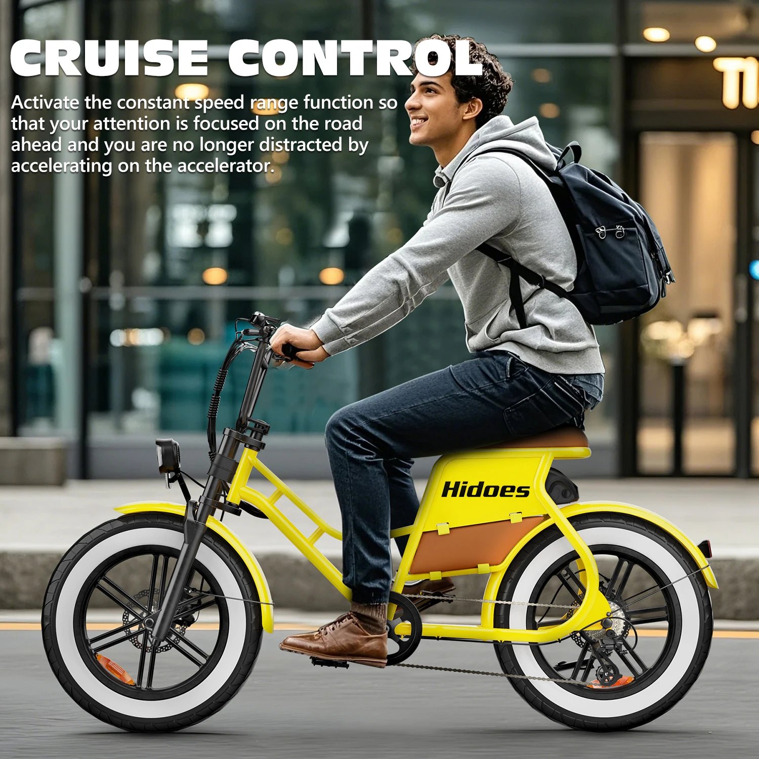 Hidoes C8 E-bike 700W Motor 48V17AH Lithium Battery Electric Bike Adult 20*4 Inch Off-road Fat Tire All-terrain Electric Bicycle