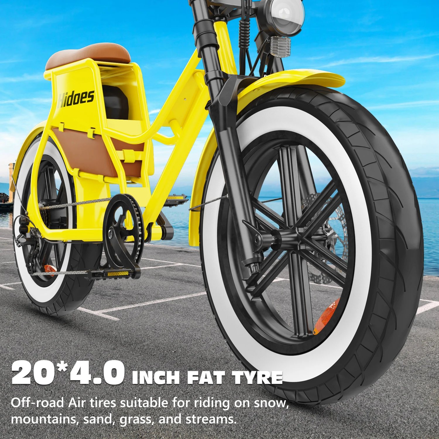 Hidoes C8 E-bike 700W Motor 48V17AH Lithium Battery Electric Bike Adult 20*4 Inch Off-road Fat Tire All-terrain Electric Bicycle
