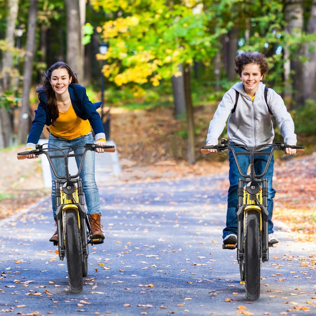 Hidoes C8 E-bike 700W Motor 48V17AH Lithium Battery Electric Bike Adult 20*4 Inch Off-road Fat Tire All-terrain Electric Bicycle