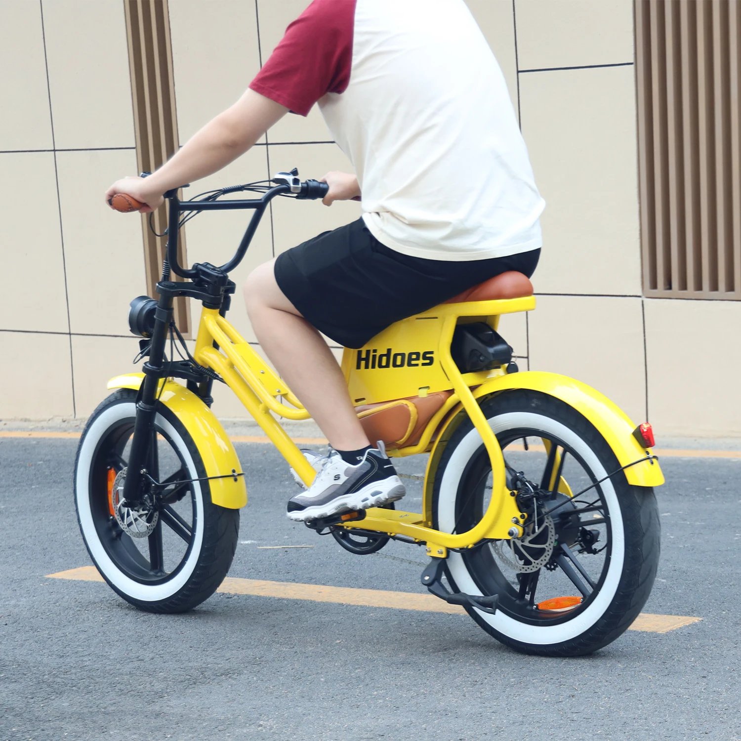 Hidoes C8 E-bike 700W Motor 48V17AH Lithium Battery Electric Bike Adult 20*4 Inch Off-road Fat Tire All-terrain Electric Bicycle