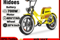 Hidoes C8 E-bike 700W Motor 48V17AH Lithium Battery Electric Bike Adult 20*4 Inch Off-road Fat Tire All-terrain Electric Bicycle