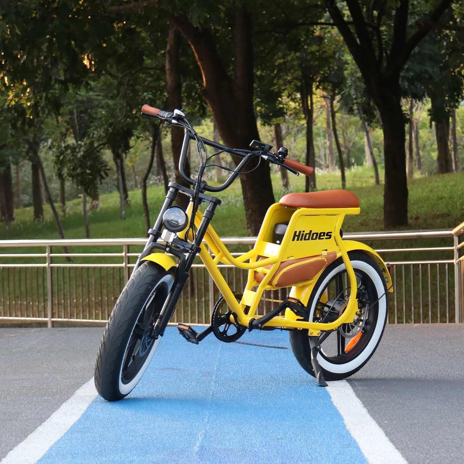 Hidoes C8 E-bike 700W Motor 48V17AH Lithium Battery Electric Bike Adult 20*4 Inch Off-road Fat Tire All-terrain Electric Bicycle