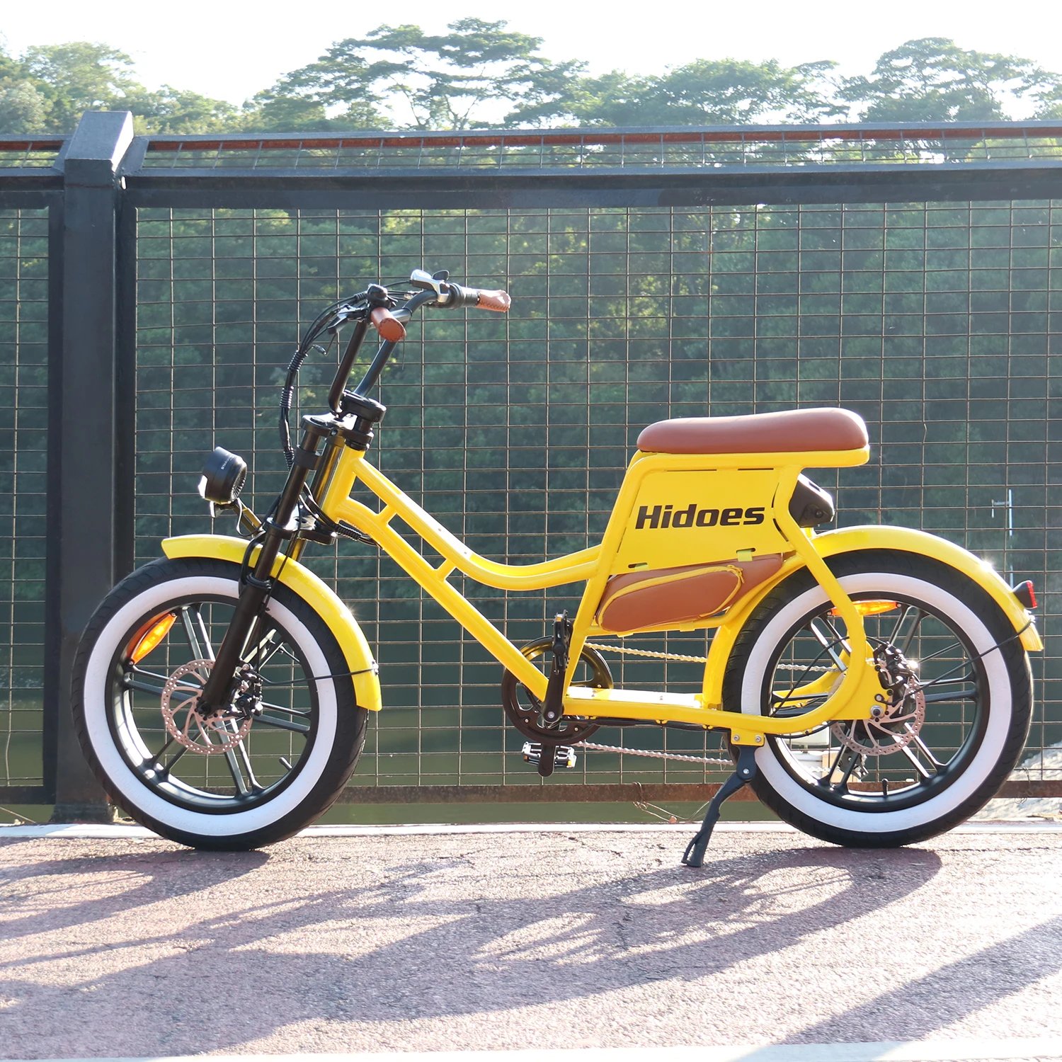 Hidoes C8 E-bike 700W Motor 48V17AH Lithium Battery Electric Bike Adult 20*4 Inch Off-road Fat Tire All-terrain Electric Bicycle