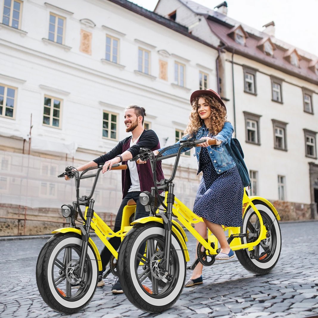 Hidoes C8 E-bike 700W Motor 48V17AH Lithium Battery Electric Bike Adult 20*4 Inch Off-road Fat Tire All-terrain Electric Bicycle