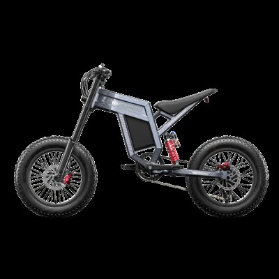 Shengmilo S900 Adult E-Bike 1500W Motor Ebike Men's E-Mountain ebike 60V30AH Battery Electric bicycle,20" Fat Tire Electric Bike